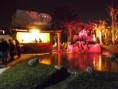 /album/fotogaleria/a11001605-830149863725595-8633788877578265834-o-jpg/
